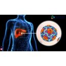 اسباب الالتهاب الكبدي الوبائي