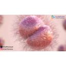  اعراض السيلان للنساء