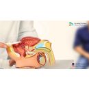 أعراض البروستاتا عند الرجال