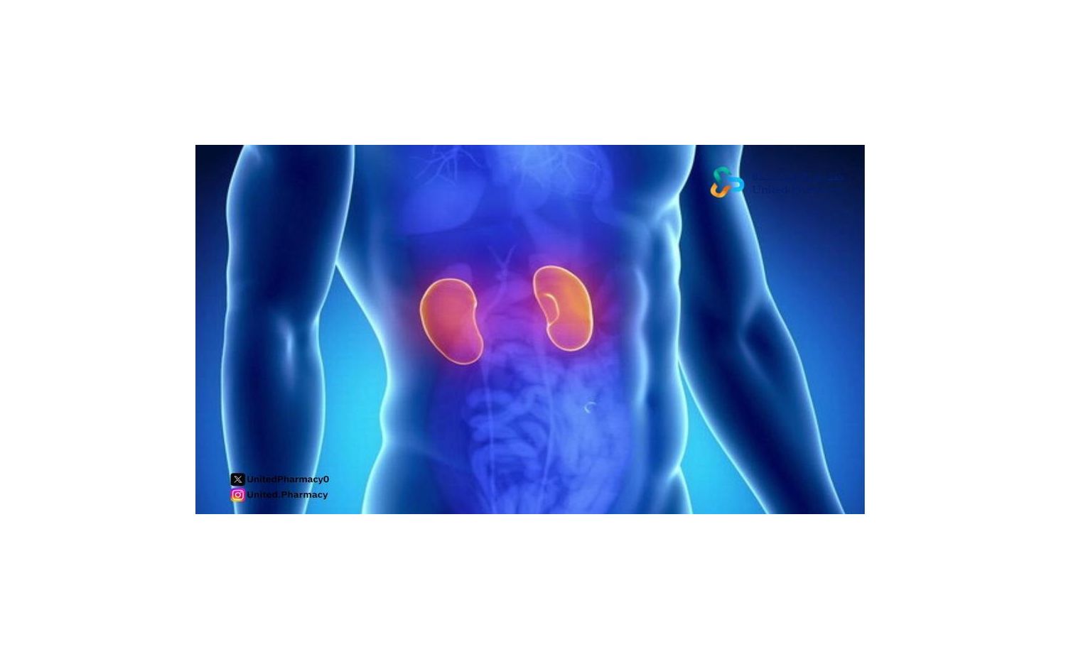 اعراض ارتفاع انزيمات الكلى