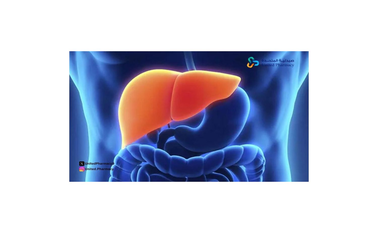  أعراض مرض الكبد عند النساء