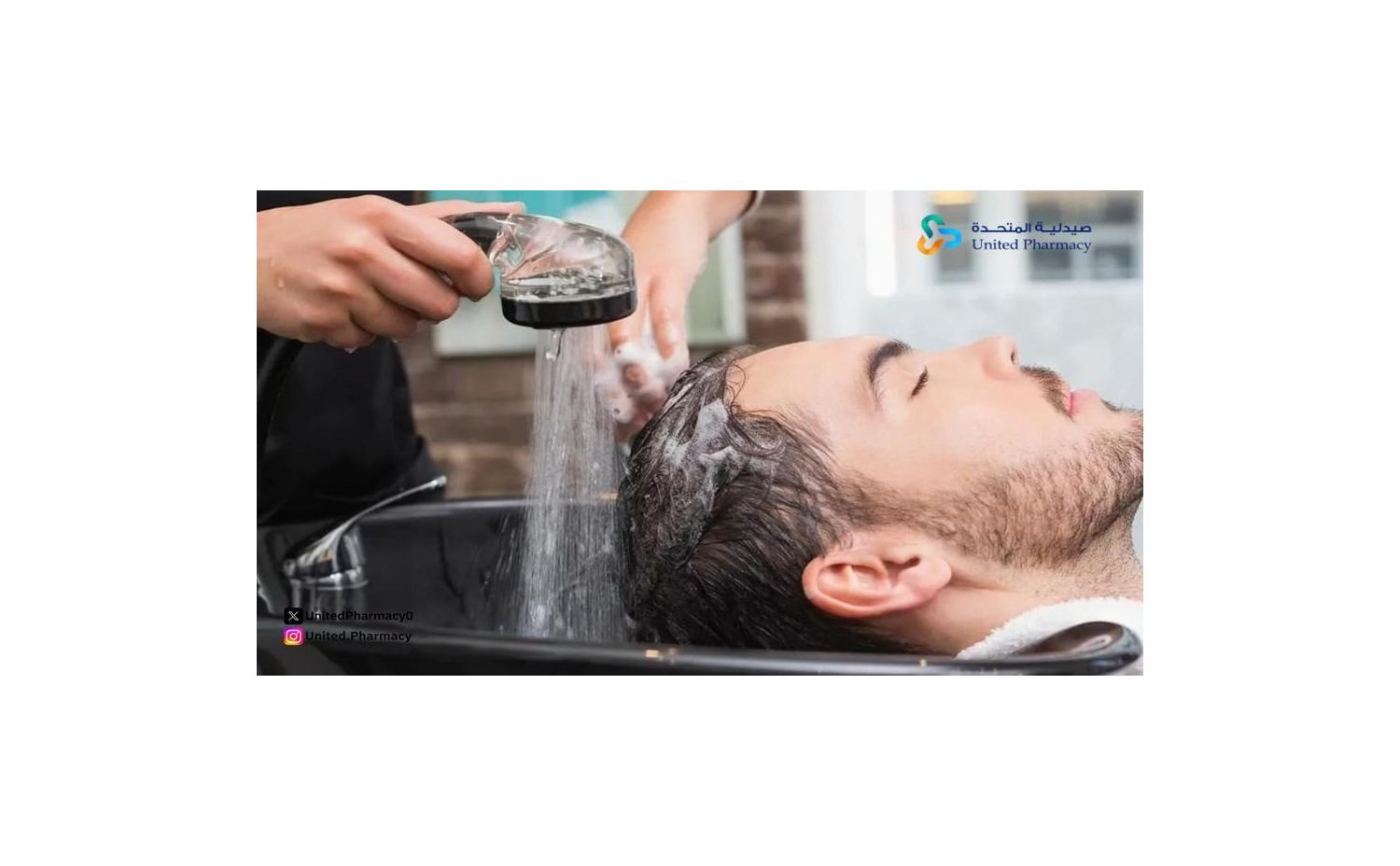افضل شامبو طبيعي للشعر 