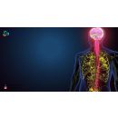 ما هو العصب الخامس والسابع