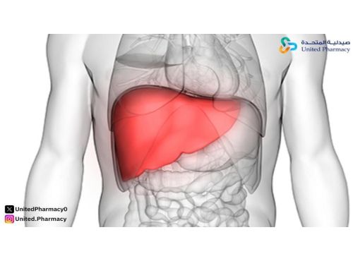 درجات تضخم الكبد 