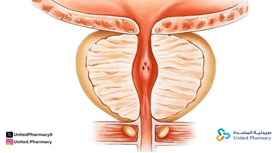 أسباب التهاب البروستاتا عند الرجال