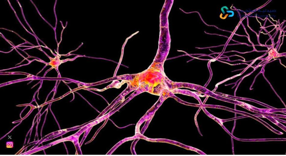 العصب الخامس والعين