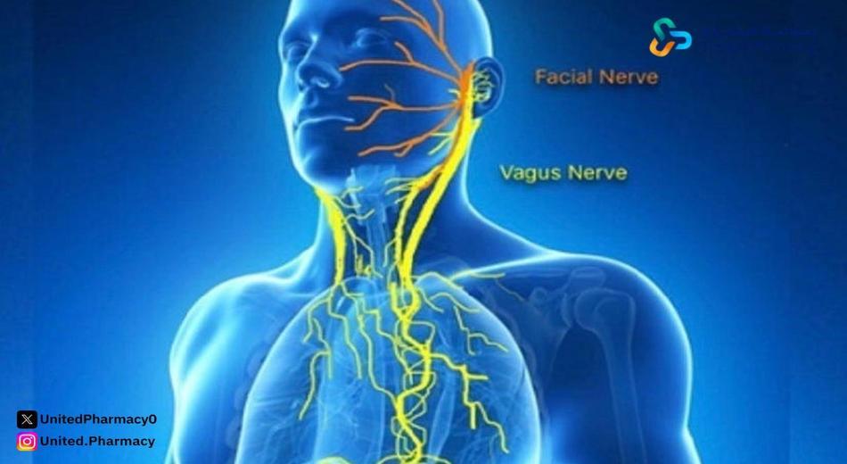 العصب الخامس والحالة النفسية