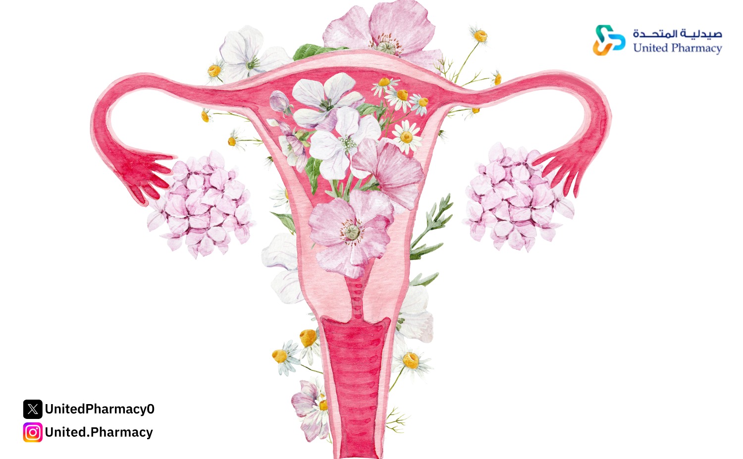 علامات التبويض