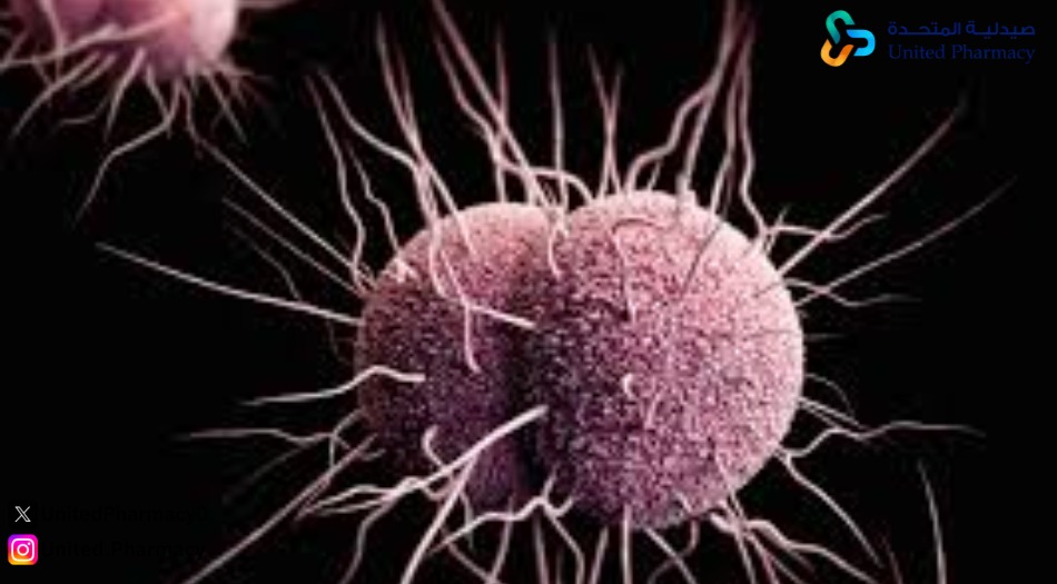 من أين يأتي السيلان عند الرجال؟